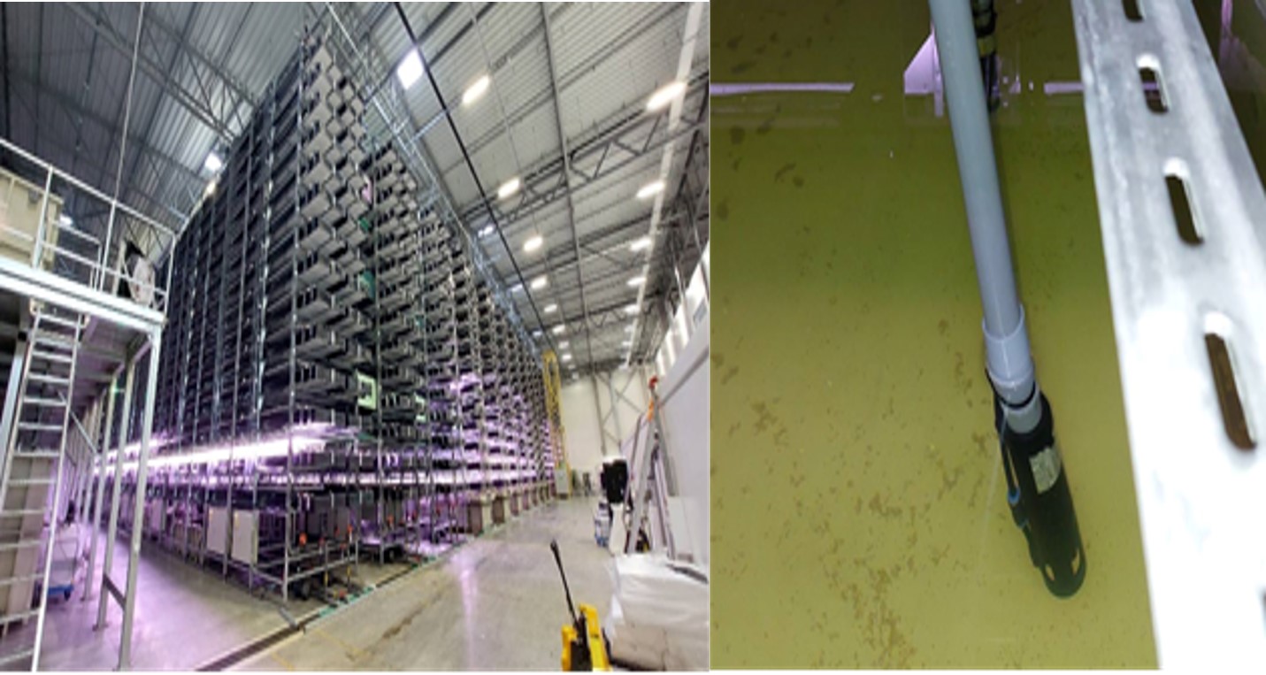 實際應用場域 1