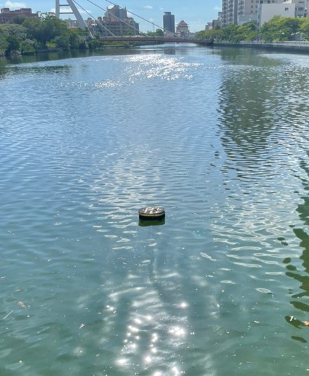 實際應用場域 1